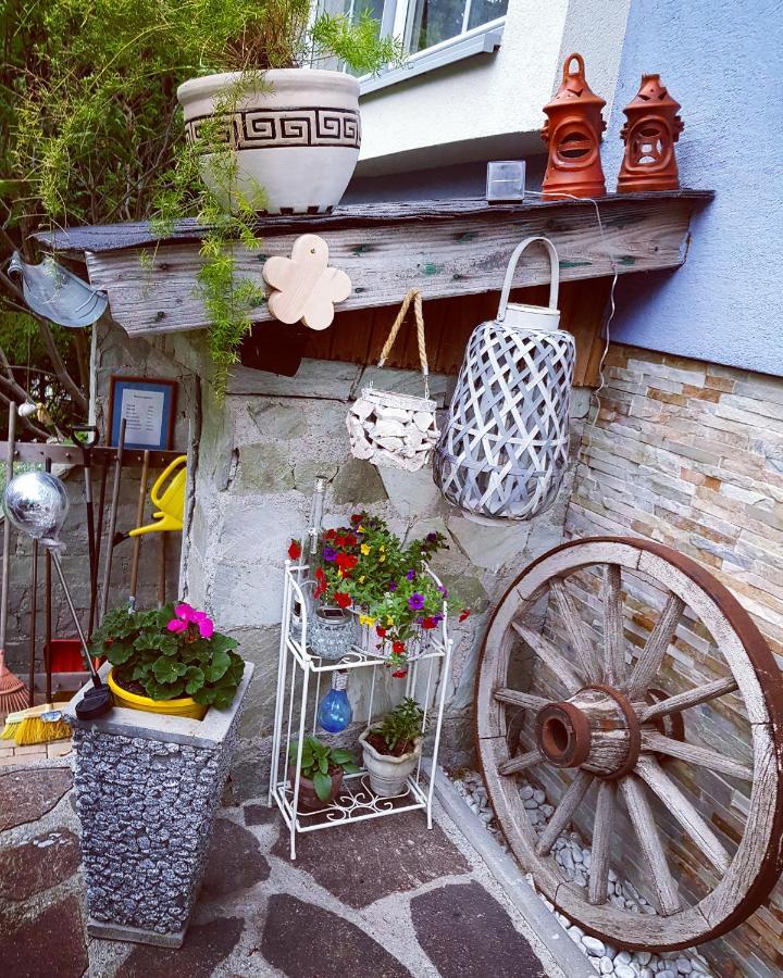 Haus Emily Bed and Breakfast Schladming Exteriör bild